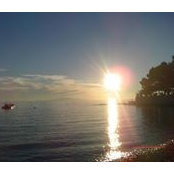 Anke Stetskamp's photo