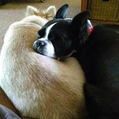 Judy Hall's photo