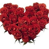 Palmer Florist's photo