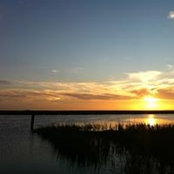 Matthew Beavers's photo