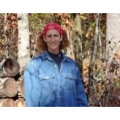 msflexs foto