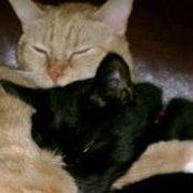 Kim Wagoner's photo