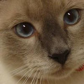 Mylene Cromwell's photo