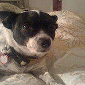 Susan Mcpoil's photo