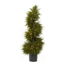 Holiday Spirit
