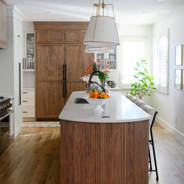 Modern kitchen with French Country detail