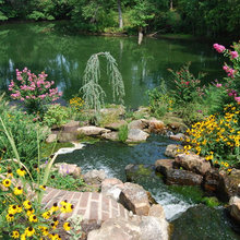 Ponds