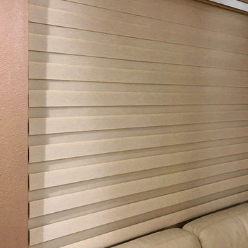 Springblinds Premium Zebra Dual Sheer Shades