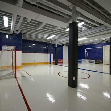 Hockey Room in the basement of a House