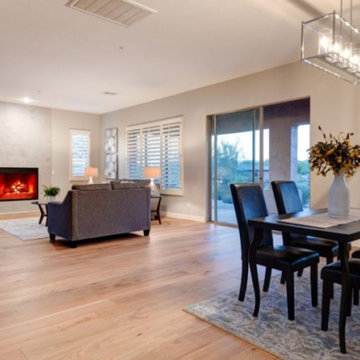 Flex Space & Living Room Remodels
