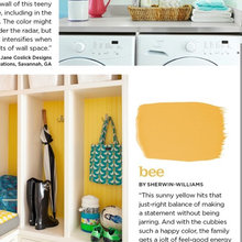 Paint Colors
