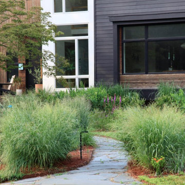 Asbury Park Contemporary