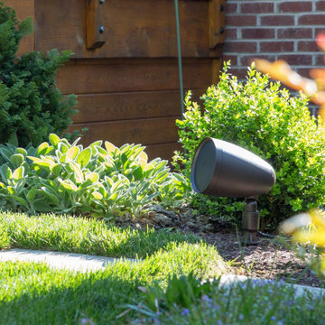 SnapAV Smart Home Automation Experts