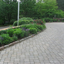 planting