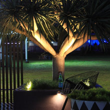 Landscape Lighting