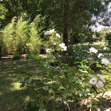 Souffle - Jardin de lotissement