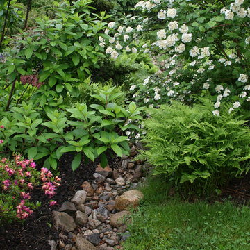 Dry River Bed