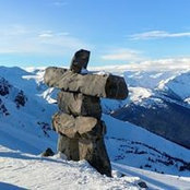 Michelle Field's photo