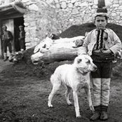 Arman Tezcan's photo