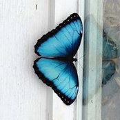 Stacie Contat's photo