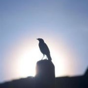 Rosmini Annuar's photo