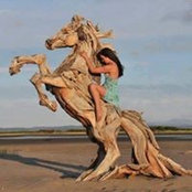 Foto von Sandra Gomez