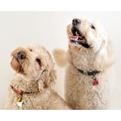 Catherine Brighton's photo