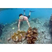 Bryan Nettles's photo