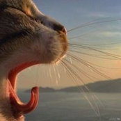 Irina Krasnova's photo