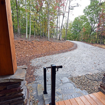 Dogtrot in the Woods