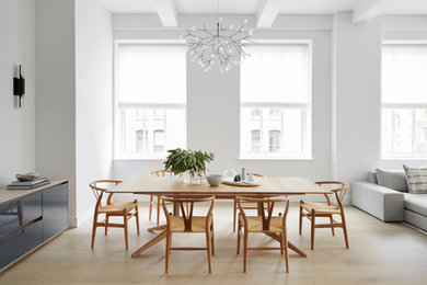 Minimalist dining room photo in New York