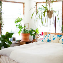 5 Ways to Tell How Much Water Your Indoor Plants Really Need