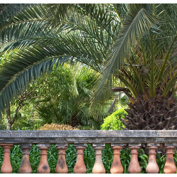 Fine Art Photograph, Palace Garden Palms I, Fine Art Paper Giclee