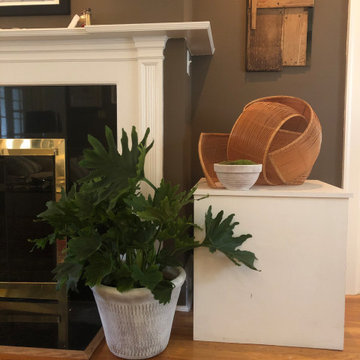 Monstera and moss