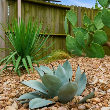 LOW MAINTENANCE BEAUTIFUL LANDSCAPE