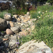 Landscaping and hardscaping