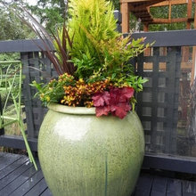 pots