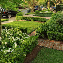 Landscape Ideas