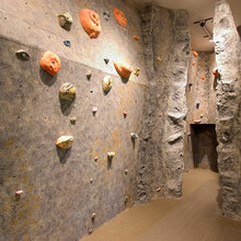 Climbing wall for home