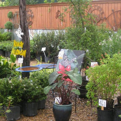 Fall Auction - Outdoor Products