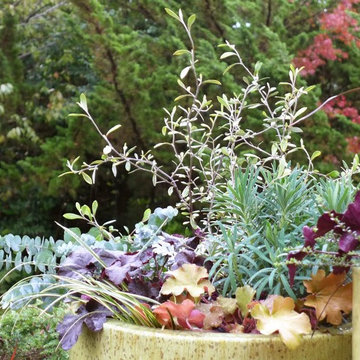 Olander . Garden . Design - Containers
