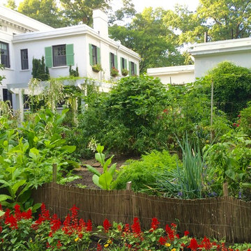 Mediterranean Garden