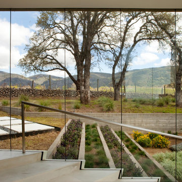 Napa Vineyard Retreat