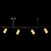 West Matte Black and Matte Brass 4-Light Track Lighting