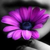 Shane Erb's photo