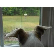 Elisa Straehle's photo