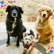 Duana Maxcey's photo