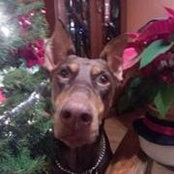 Kelly Klinger's photo