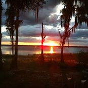 Patty Ward's photo