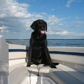 Carol Lowe's photo